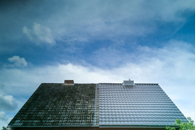Roof Cleaning